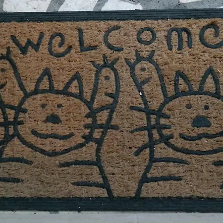 Zorica Brodarica (Sibenik-Knin)