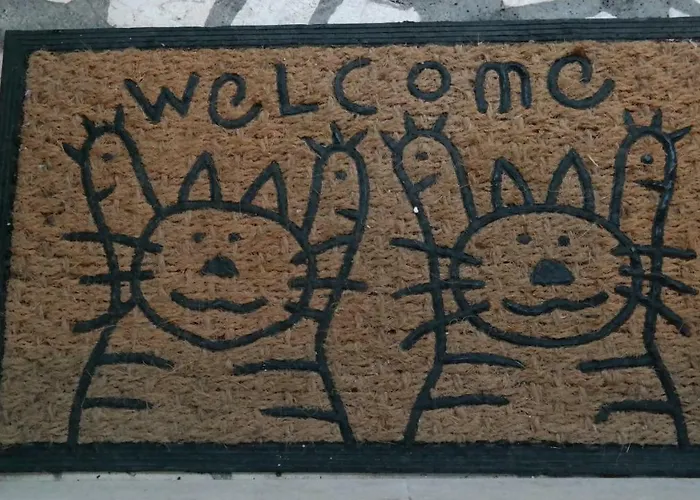 Zorica Brodarica (Sibenik-Knin)